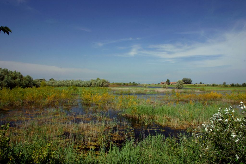 Biodiversità, Terzi: Unione europea assegna 10 milioni alla Lombar