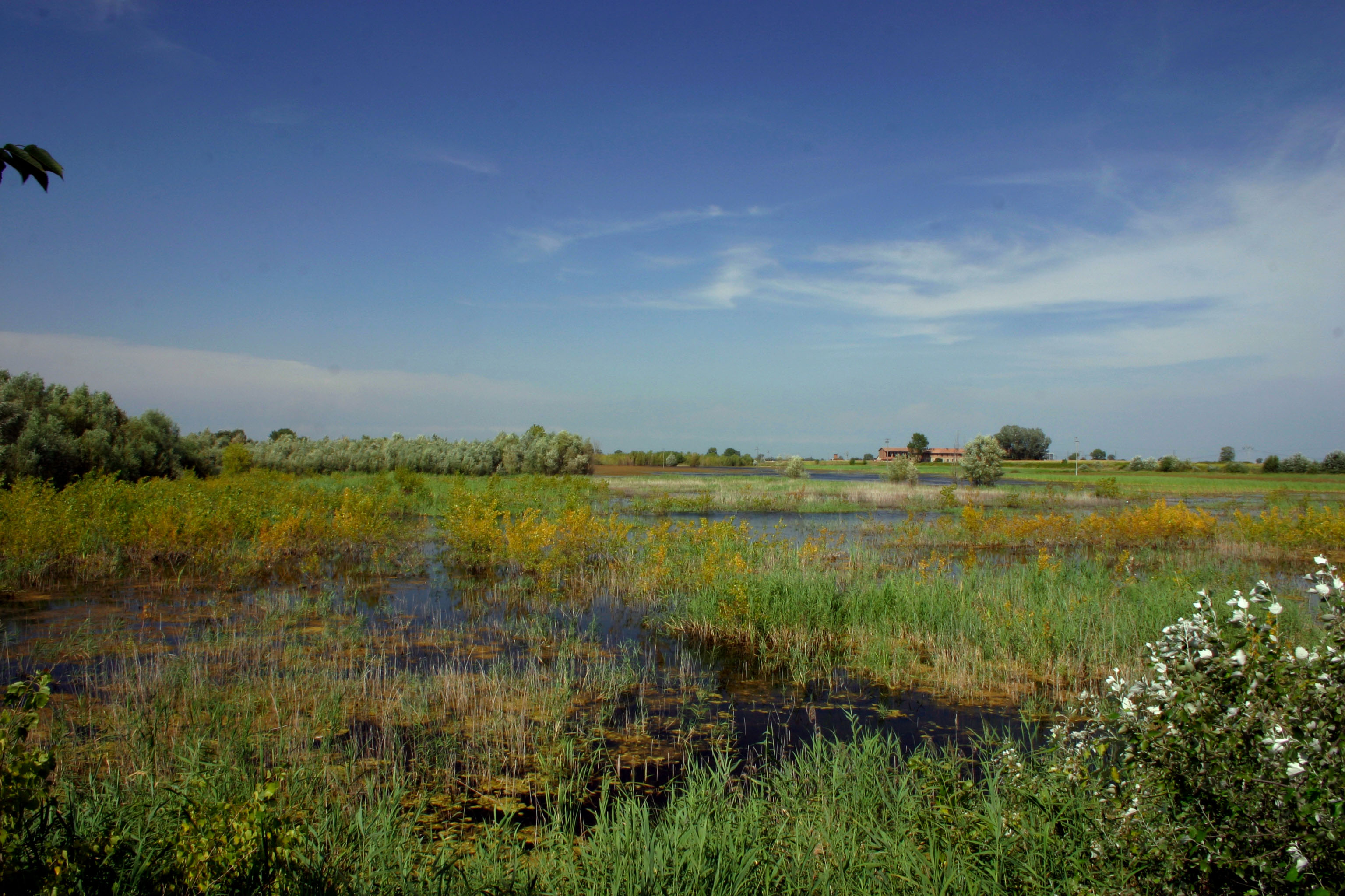 Biodiversità, Terzi: Unione europea assegna 10 milioni alla Lombar