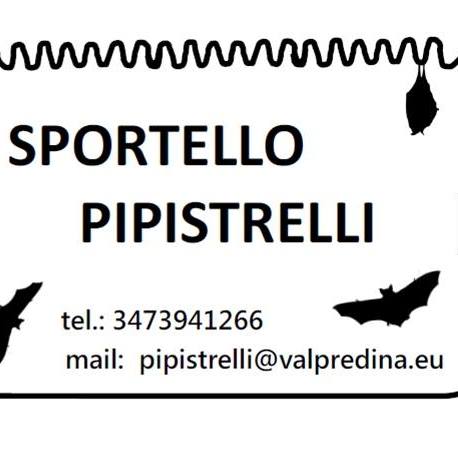 Sportello pipistrelli