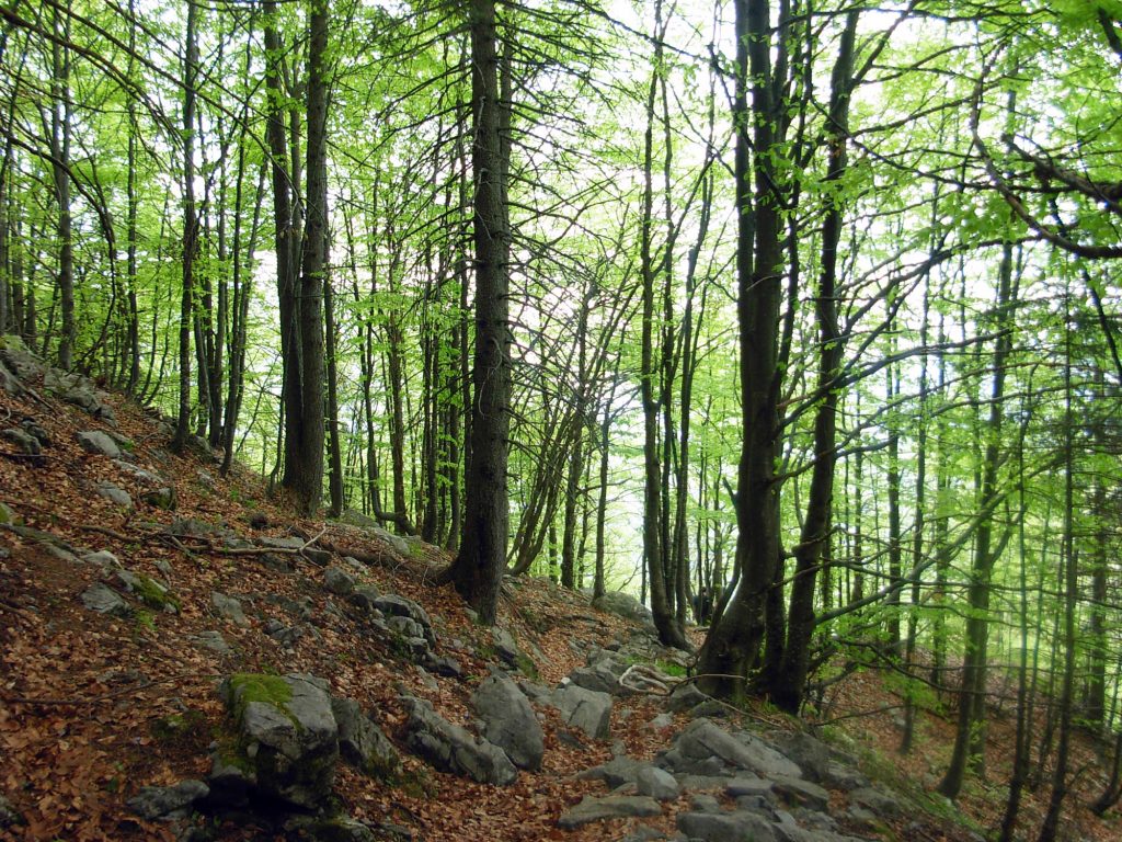 LIFE GESTIRE2020 all’incontro internazionale dei governi subregionali per la biodiversità