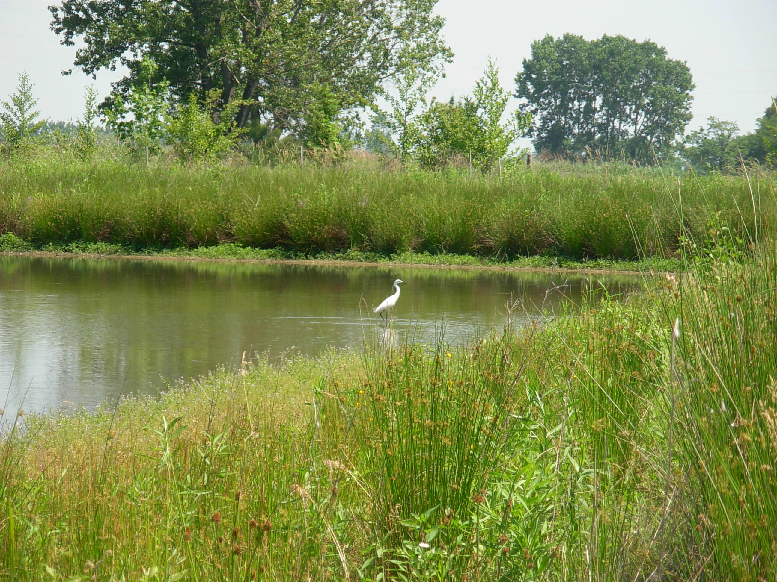 Seminario Wild landscape