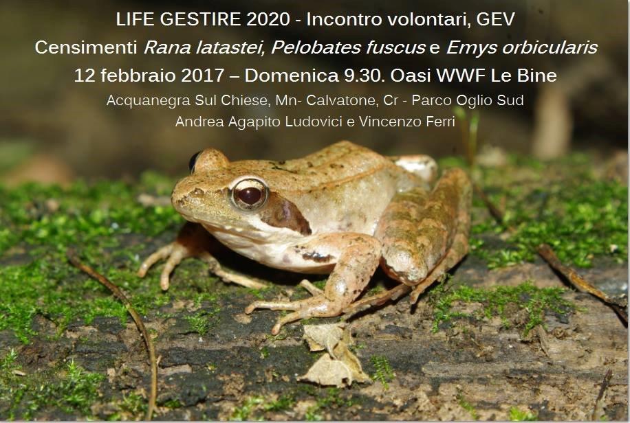 Formazione dei volontari per la 2. campagna censimento anfibi e rettili