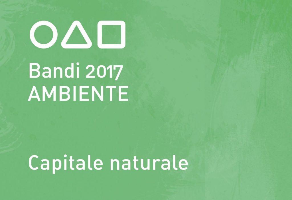 Fondazione Cariplo, Bando Ambiente 2017