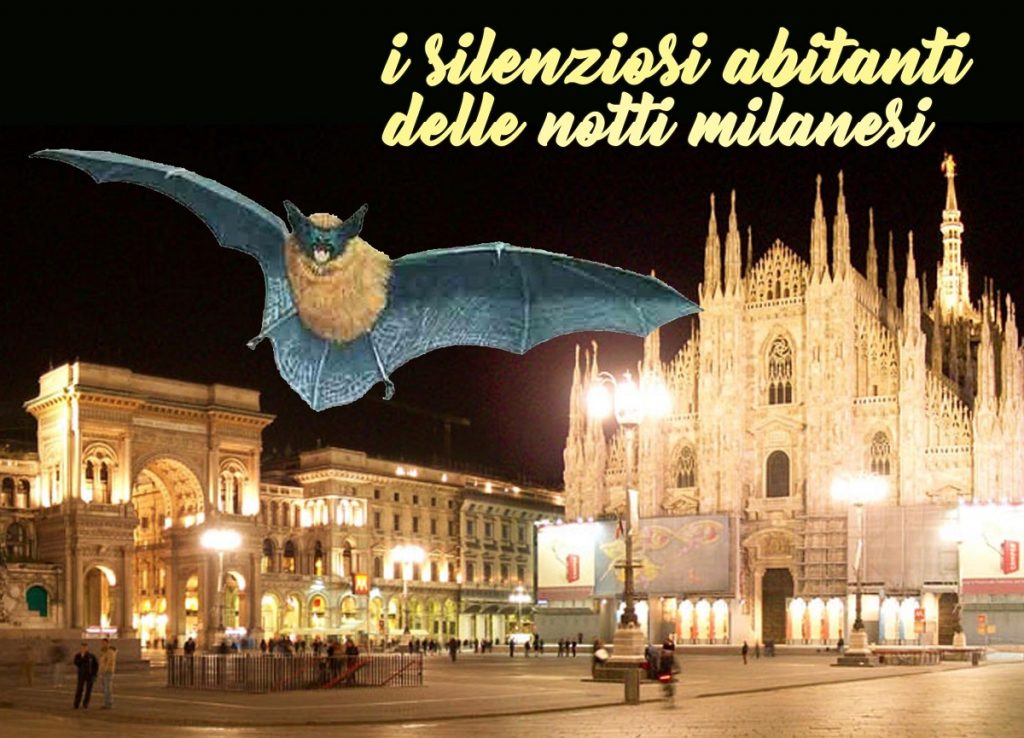 Bat night a Milano