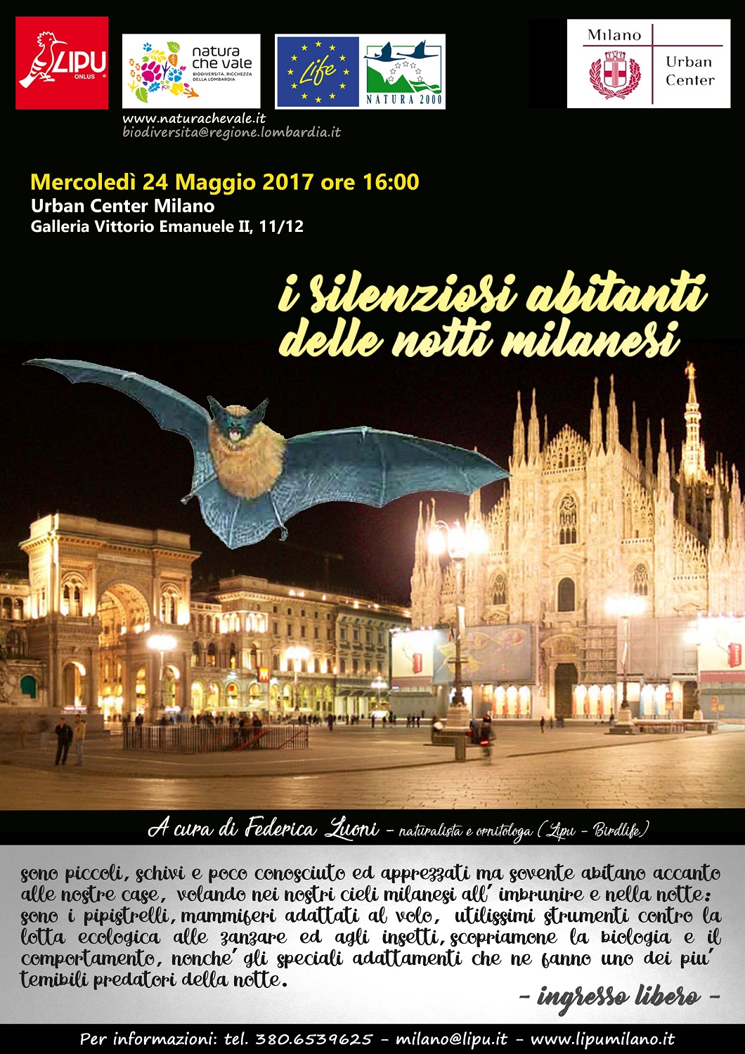 Bat night a Milano