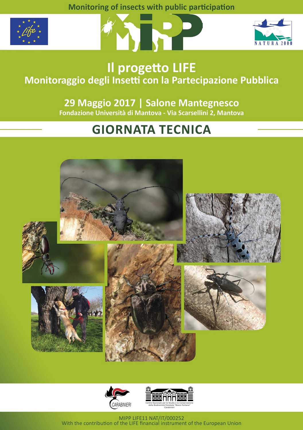 Giornata tecnica del MIPP su presente e futuro del monitoraggio degli invertebrati