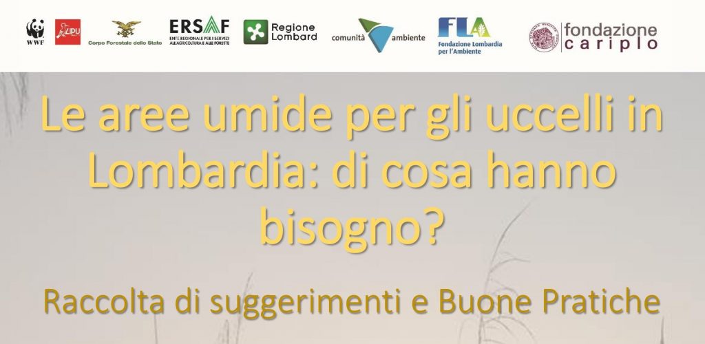 Le aree umide per gli uccelli in Lombardia: i risultati dell’incontro