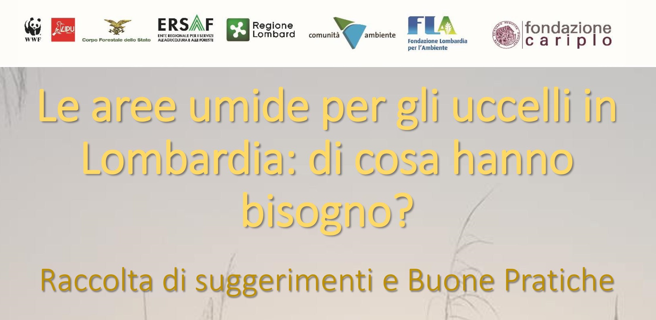 Le aree umide per gli uccelli in Lombardia: i risultati dell’incontro