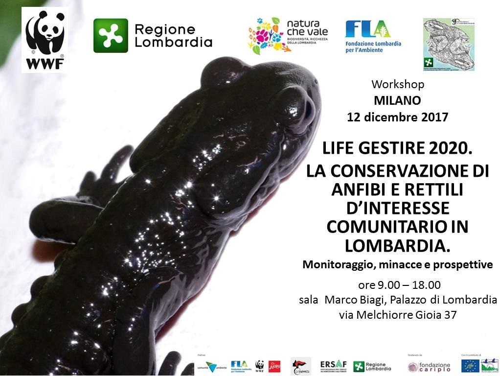 Anfibi e rettili d’interesse comunitario. Verso il piano d’azione degli interventi prioritari
