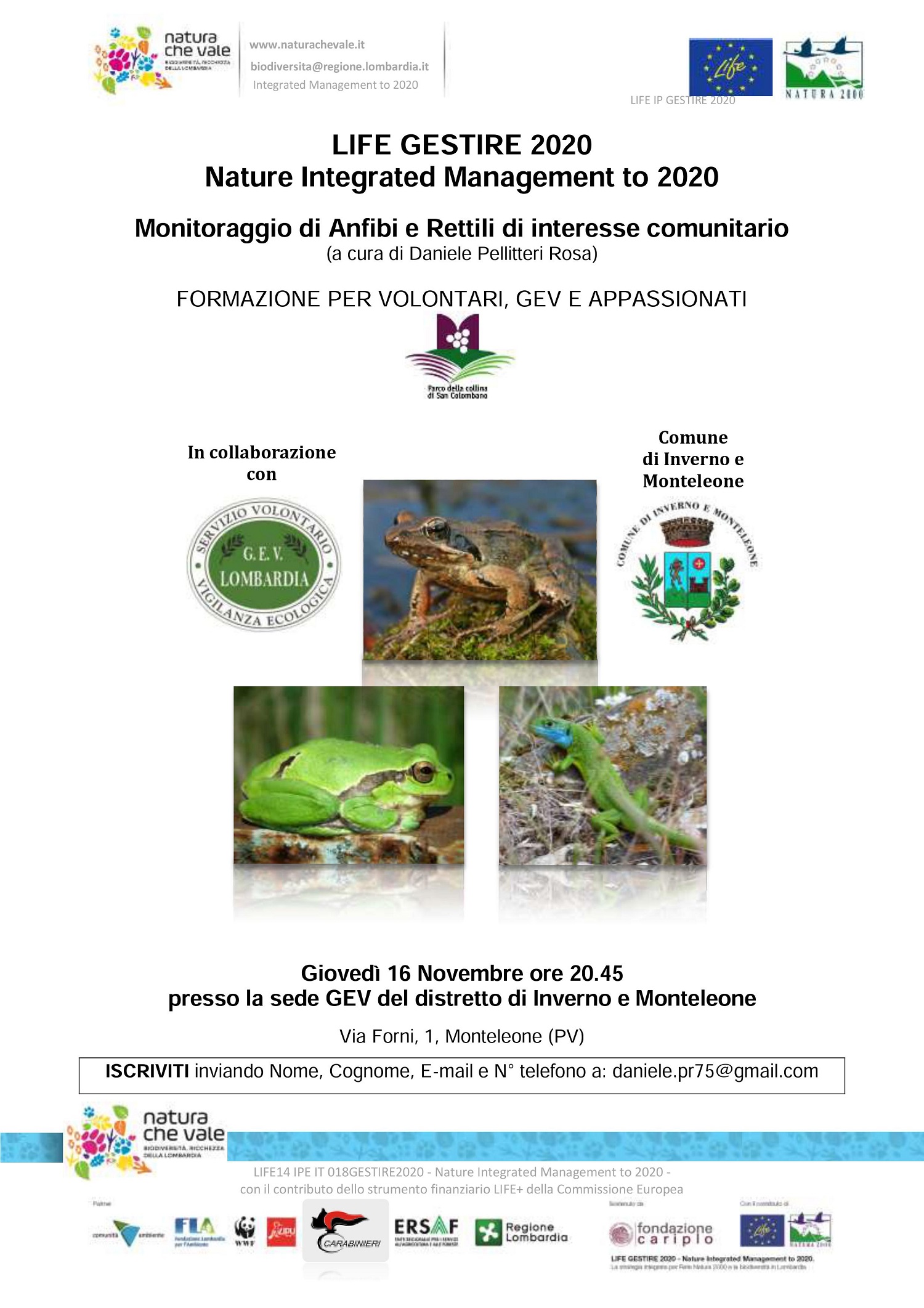 Incontro di formazione su monitoraggio di anfibi e rettili di interesse comunitario – Monteleone (PV)