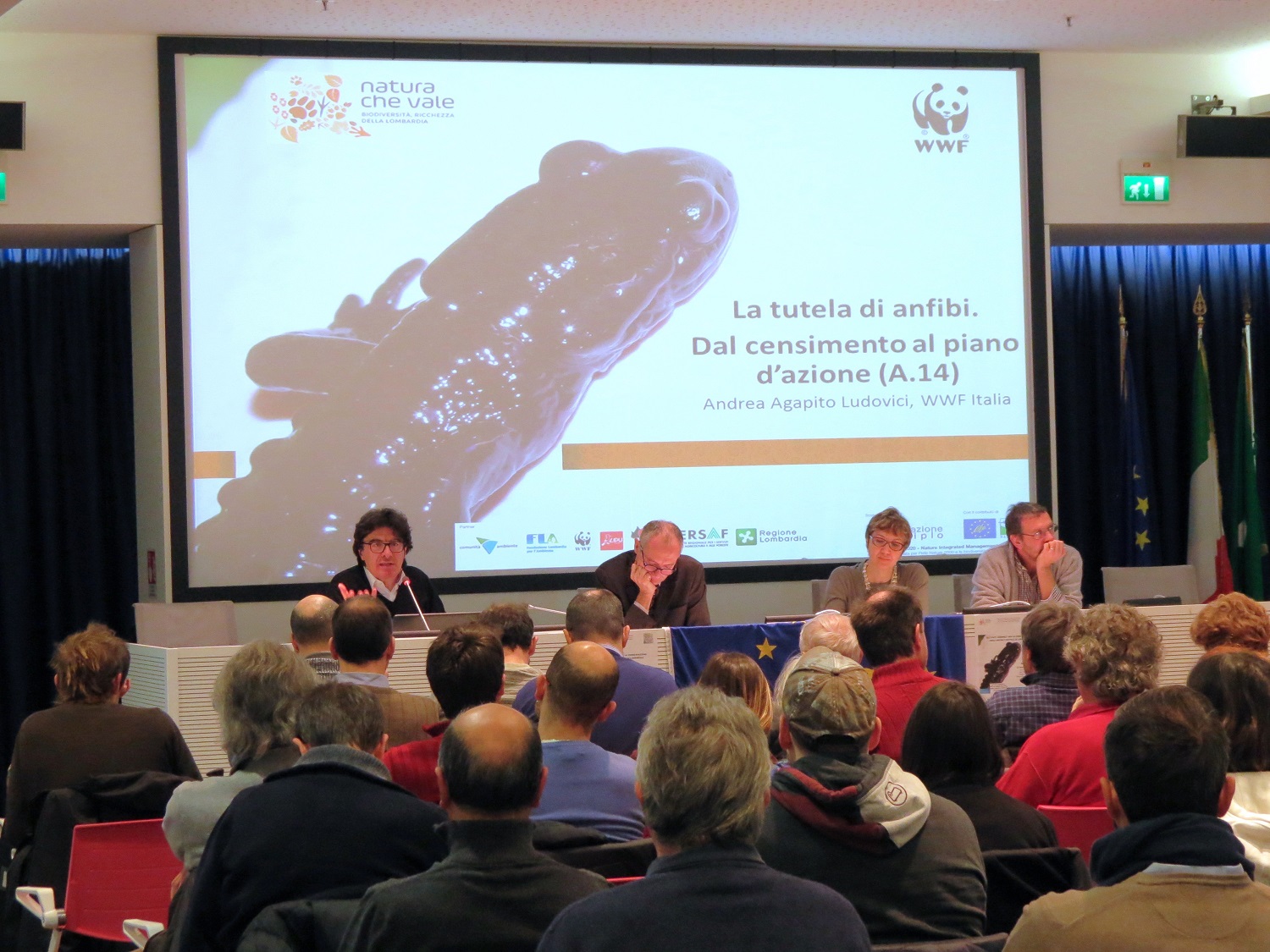 Disponibili on line i materiali degli Stati Generali per la conservazione degli anfibi e rettili in Lombardia