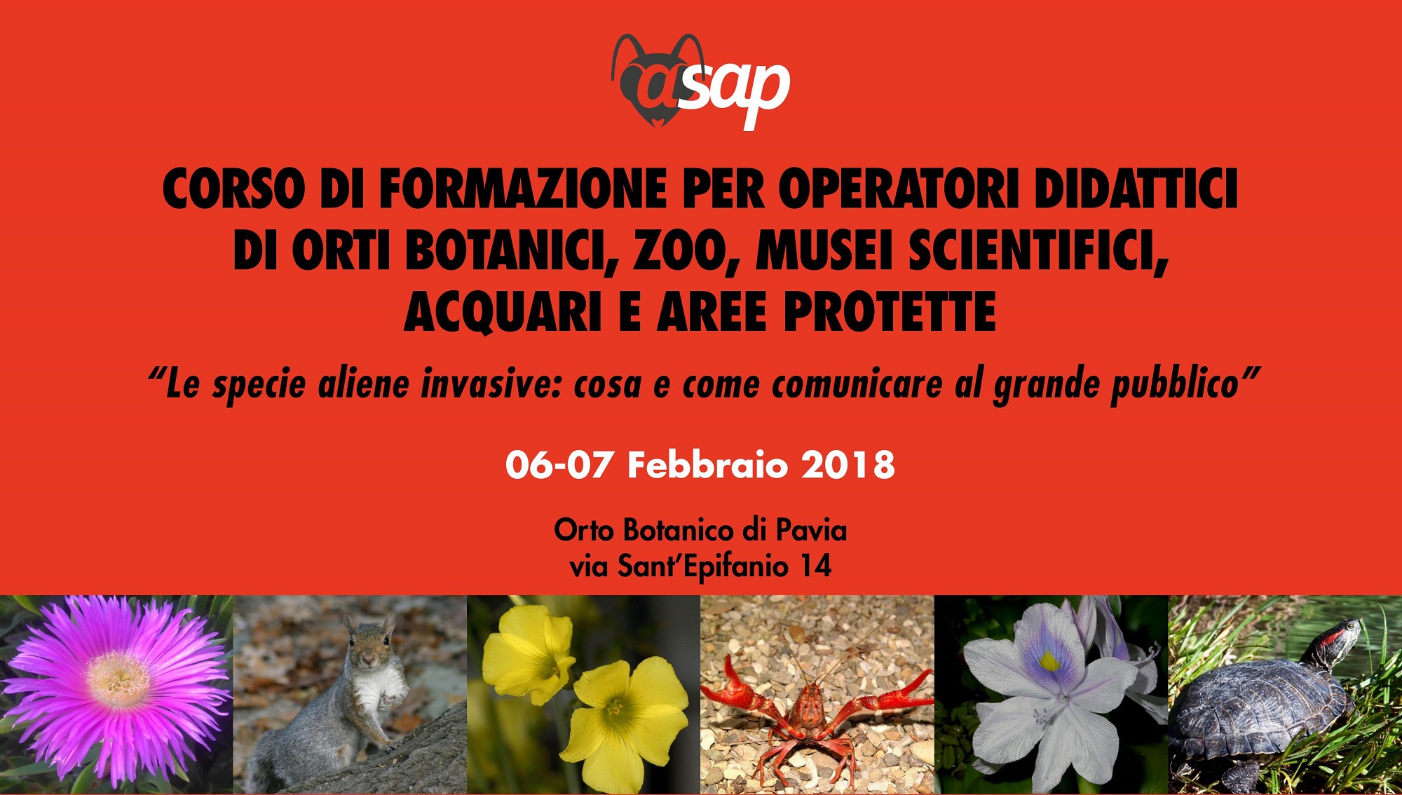 Corso di formazione sulle specie aliene invasive: come comunicare al grande pubblico