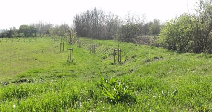 Bandi PSR: prorogato di 60 giorni termine presentazione domande Operazioni 4.4.01 e 4.4.02