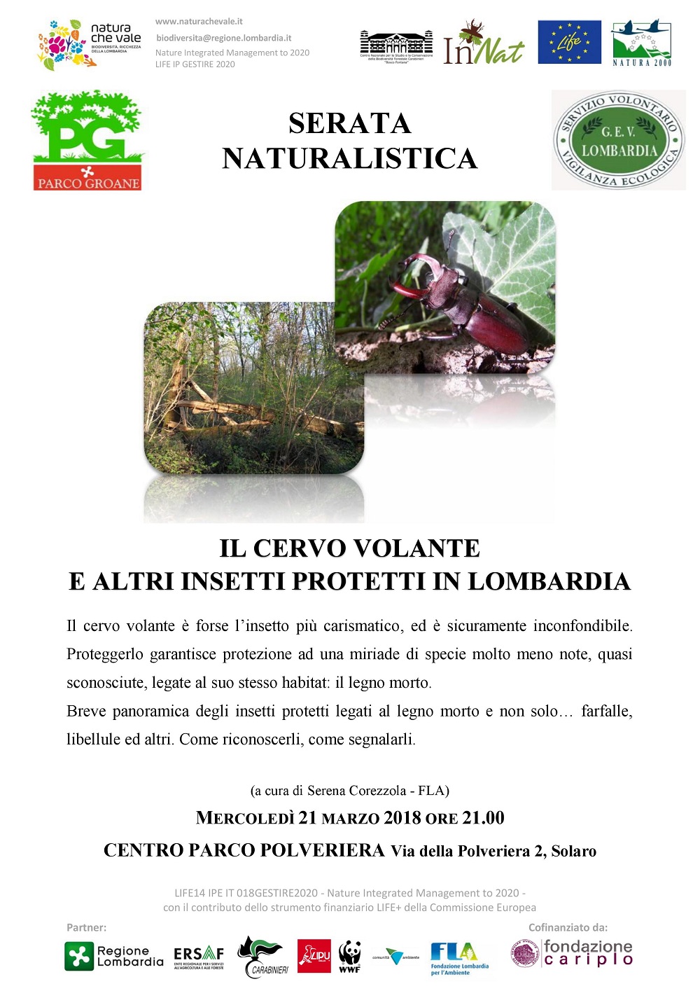 Il cervo volante e altri insetti protetti in Lombardia – Parco Groane