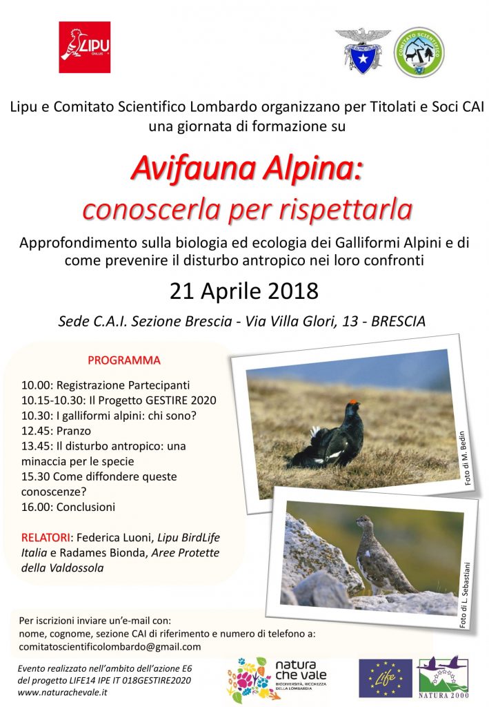 Avifauna Alpina: conoscerla per rispettarla - Brescia