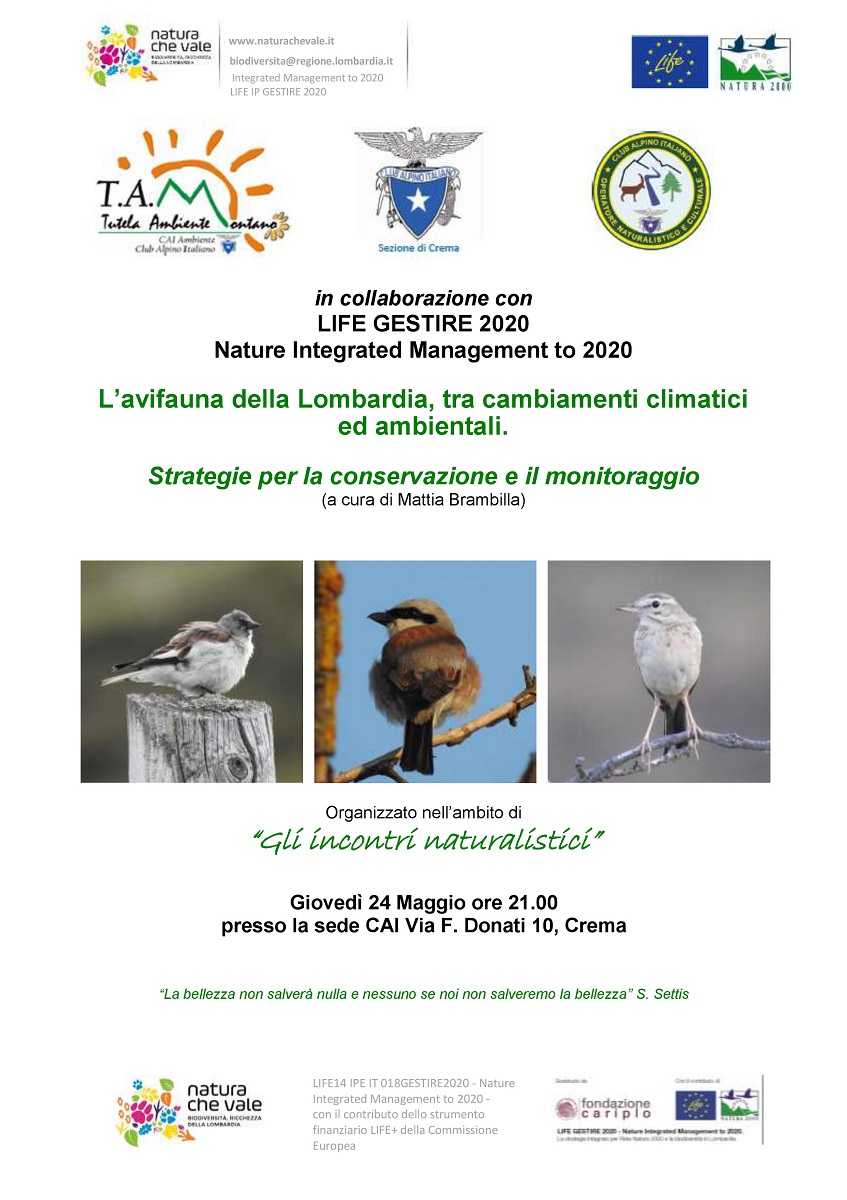 L’avifauna della Lombardia, tra cambiamenti climatici e ambientali
