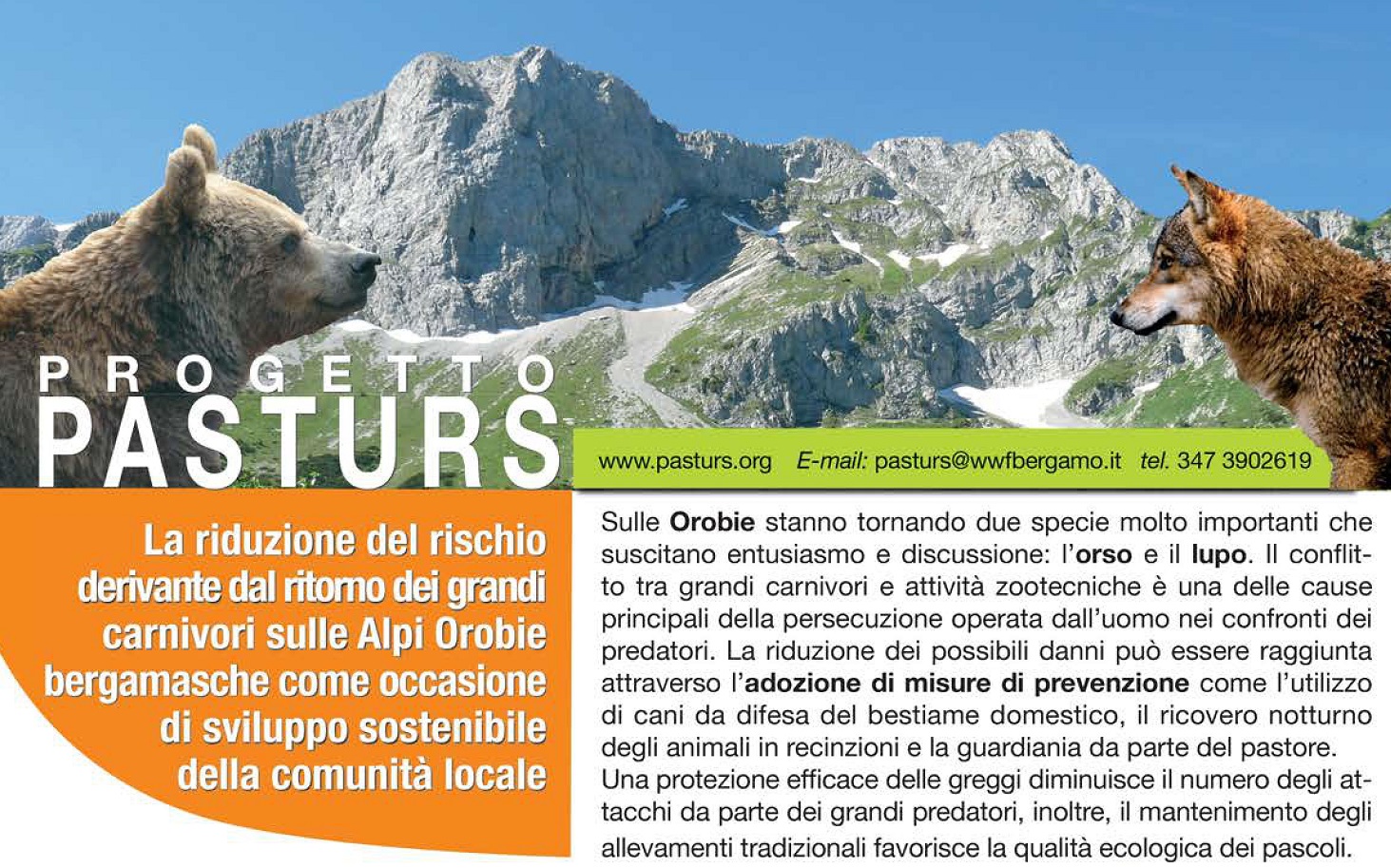 Riparte Pasturs: volontari per la convivenza tra pastori e grandi predatori sulle Orobie bergamasche