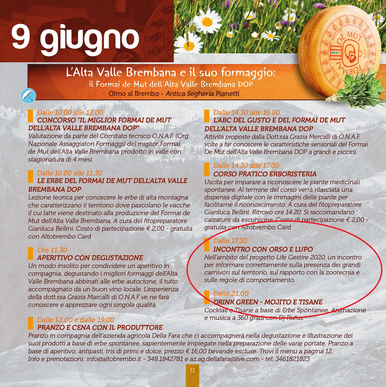 Incontro con orso e lupo – Olmo al Brembo (BG)