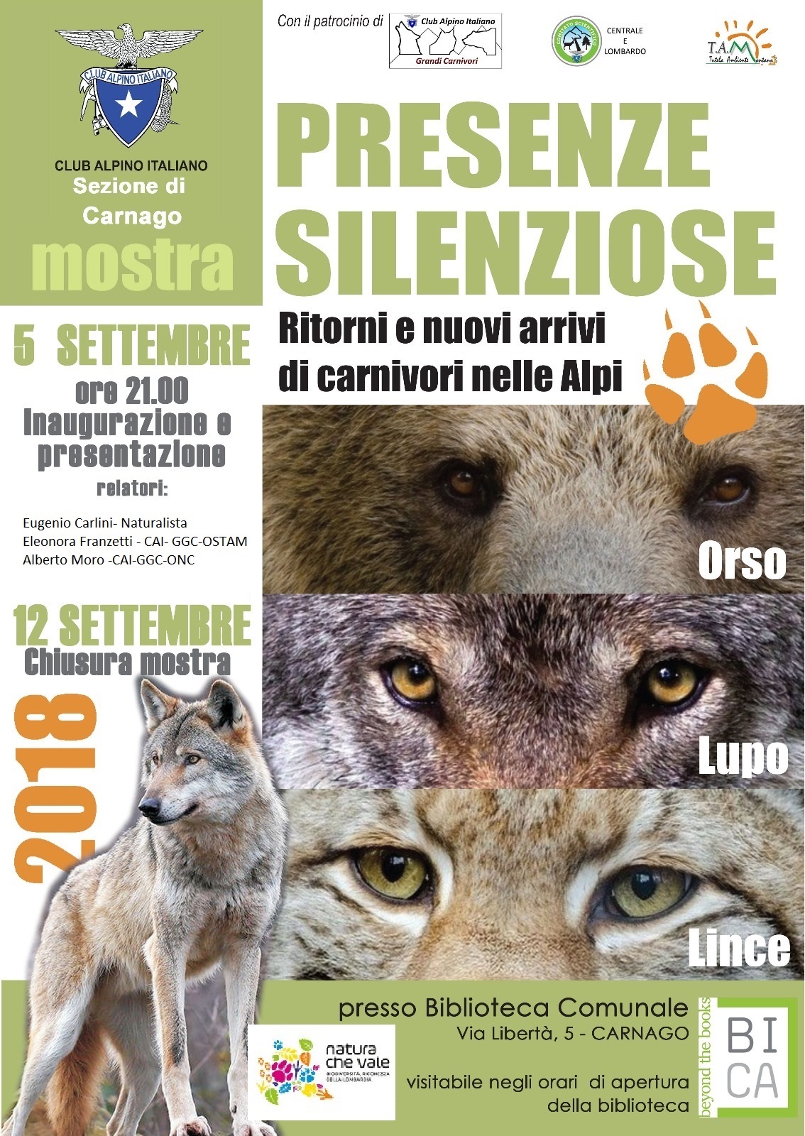 Presenze Silenziose: ritorni e nuovi arrivi di carnivori nelle Alpi – Carnago (VA)