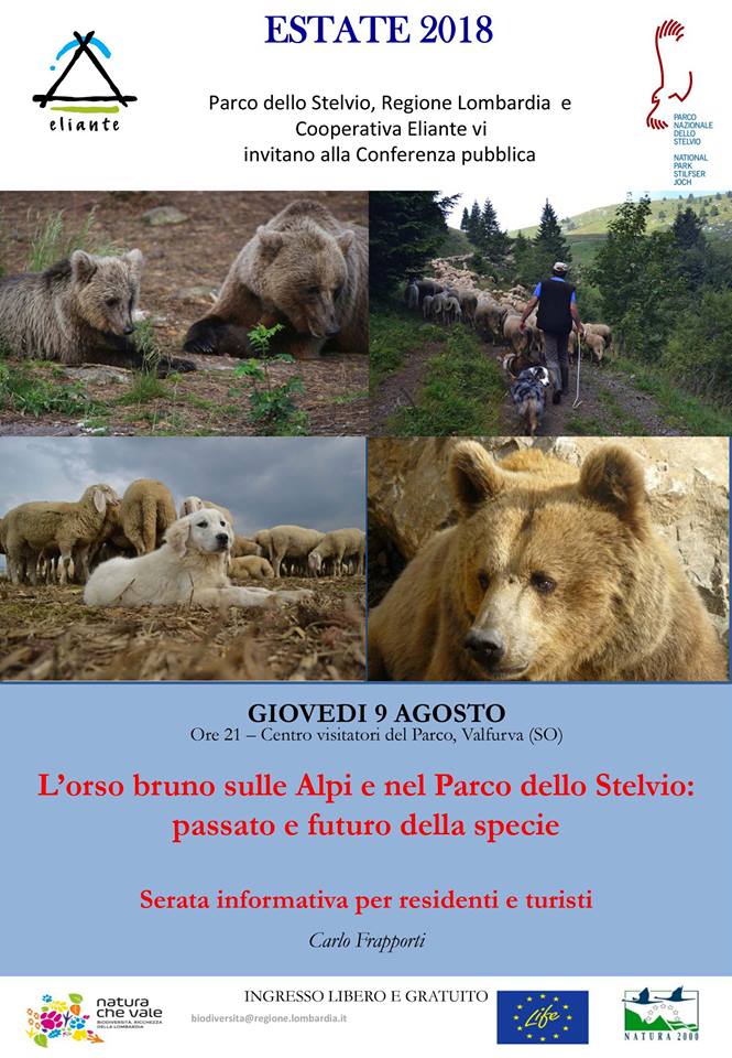 L’orso bruno sulle Alpi e nel Parco dello Stelvio – Valfurva (SO)