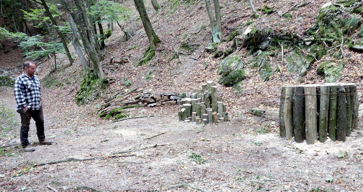 Prime Log Pyramid a favore degli uccelli e degli insetti nelle foreste lombarde
