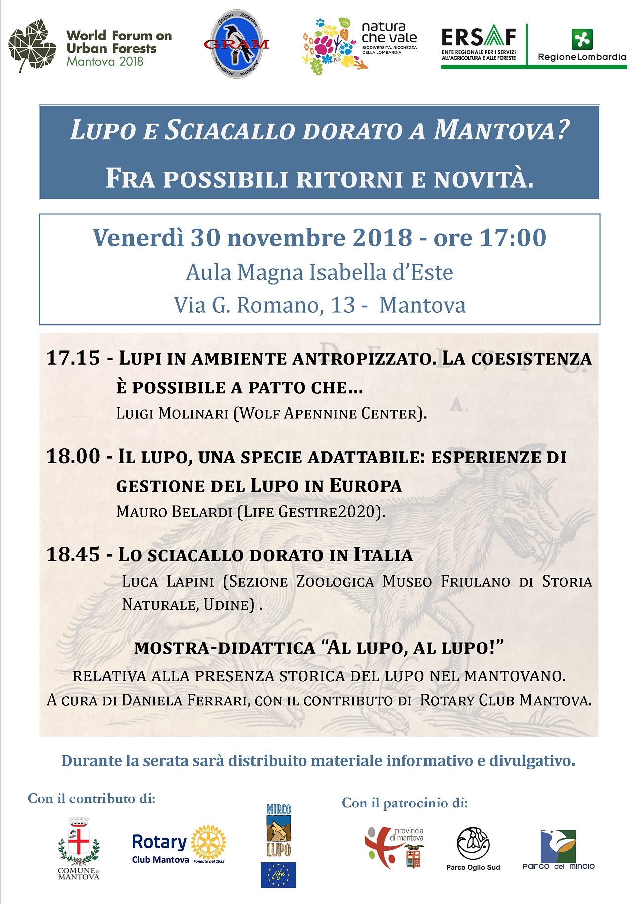 Lupo e sciacallo dorato a Mantova. Fra possibili ritorni e novità (MN)