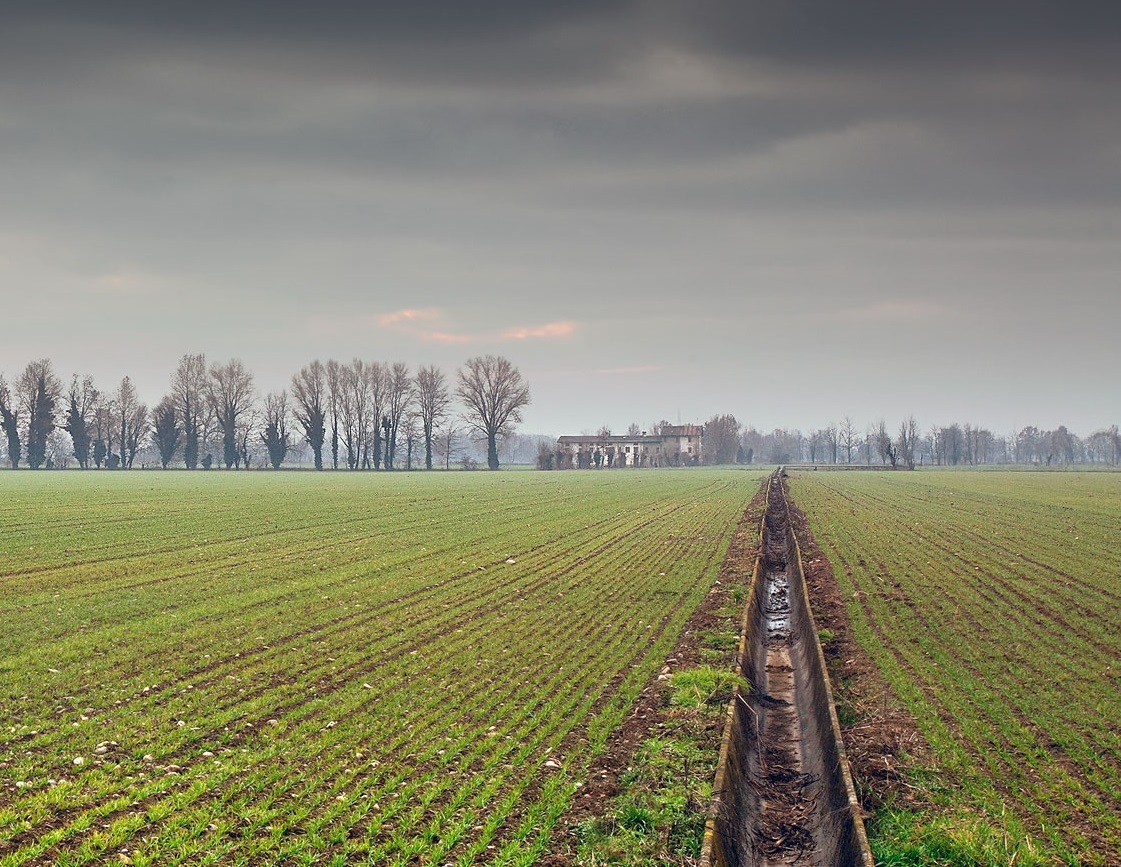 Agricoltura e biodiversità: il 5 febbraio presentazione bando Psr per la formazione di agricoltori, coadiuvanti e lavoratori
