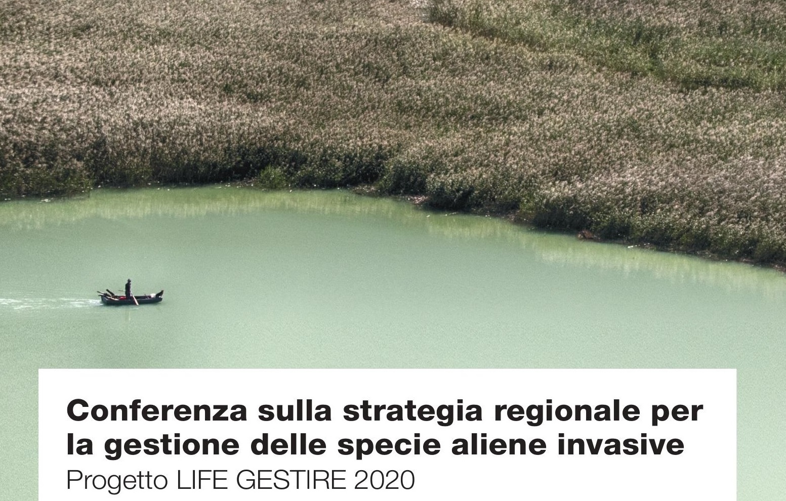 Stati Generali – Strategia regionale per la gestione delle specie aliene invasive – 1 febbraio – Milano