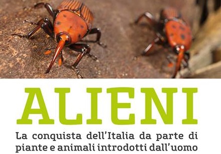 Mostra scientifica sulle specie aliene invasive al Museo civico di Morbegno dal 2 marzo al 28 aprile