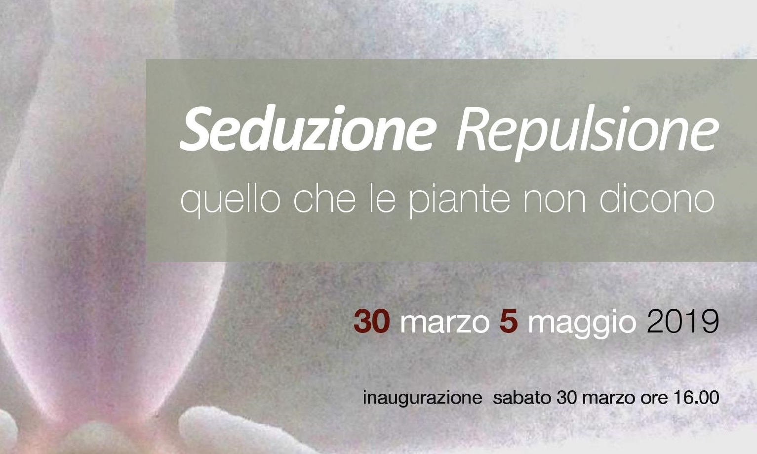 Le specie aliene alla mostra “Seduzione Repulsione” – 30 marzo a Calolziocorte
