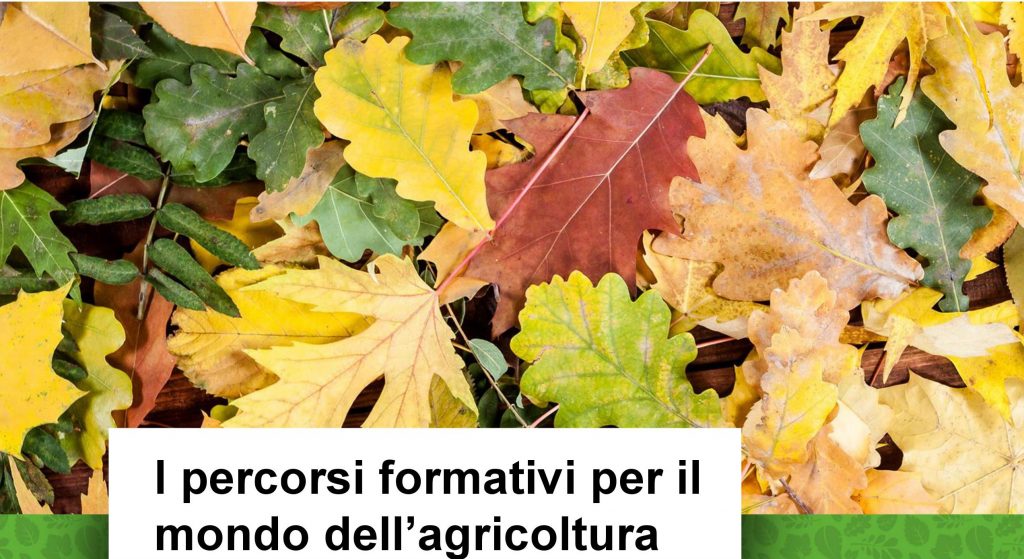 Disponibili i materiali del seminario del 5 febbraio sul bando PSR Operazione 1.1.01