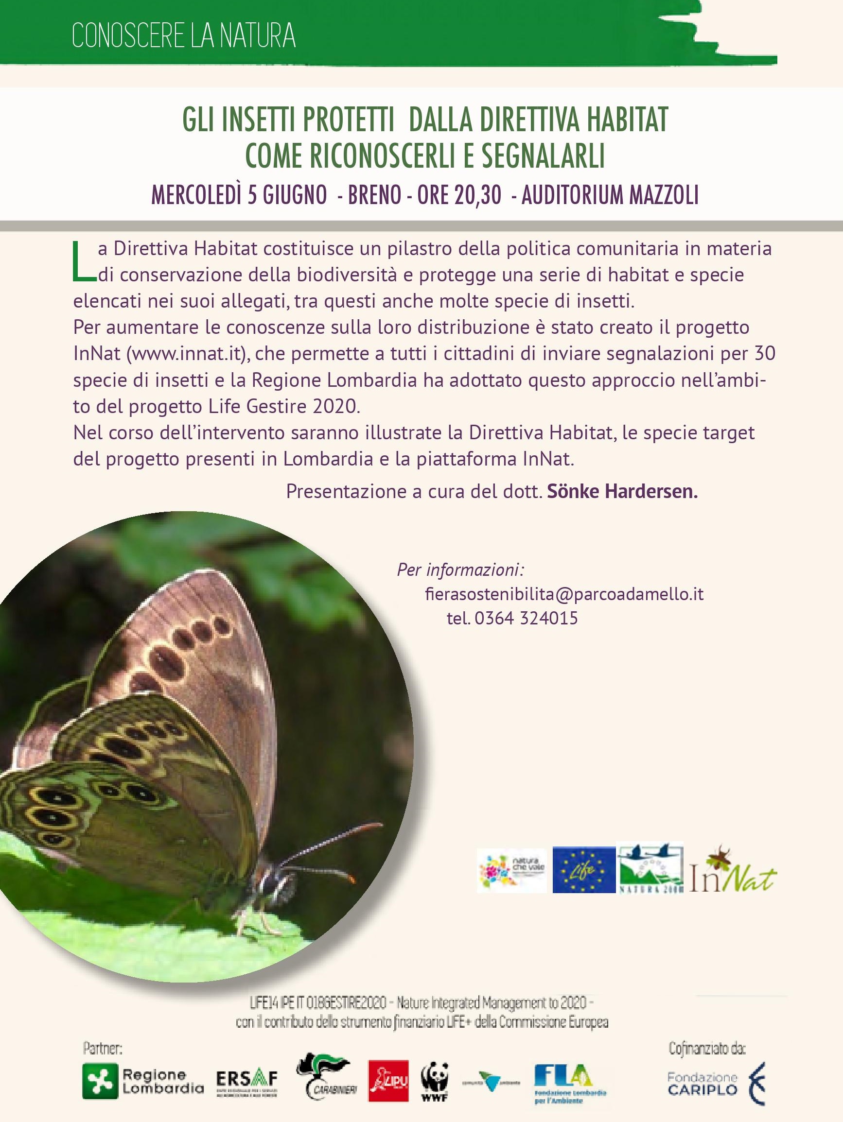 Gli insetti protetti dalla direttiva habitat: come riconoscerli e segnalarli – Breno (BS)