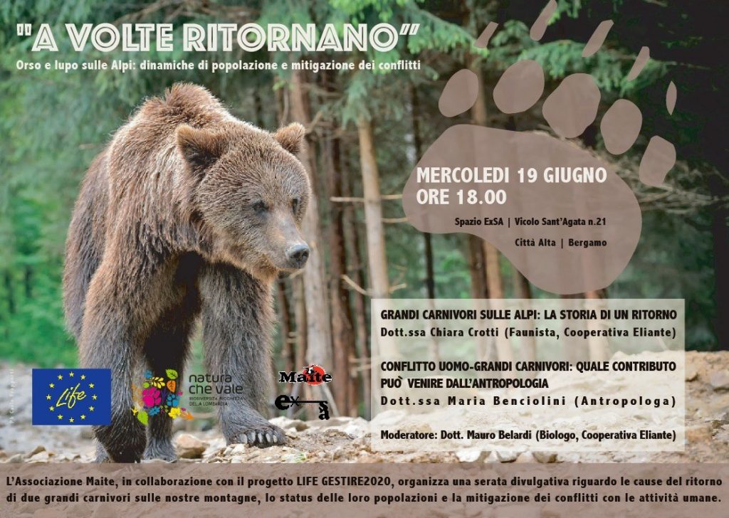 I prossimi appuntamenti con i grandi carnivori in Lombardia
