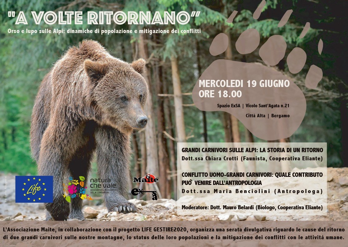 I prossimi appuntamenti con i grandi carnivori in Lombardia