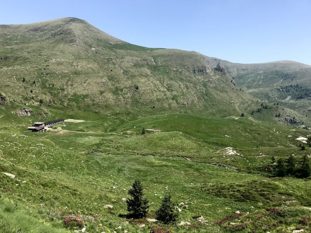Tutela habitat e pascoli: avviati lavori per la redazione dei piani di pascolamento in 10 alpeggi