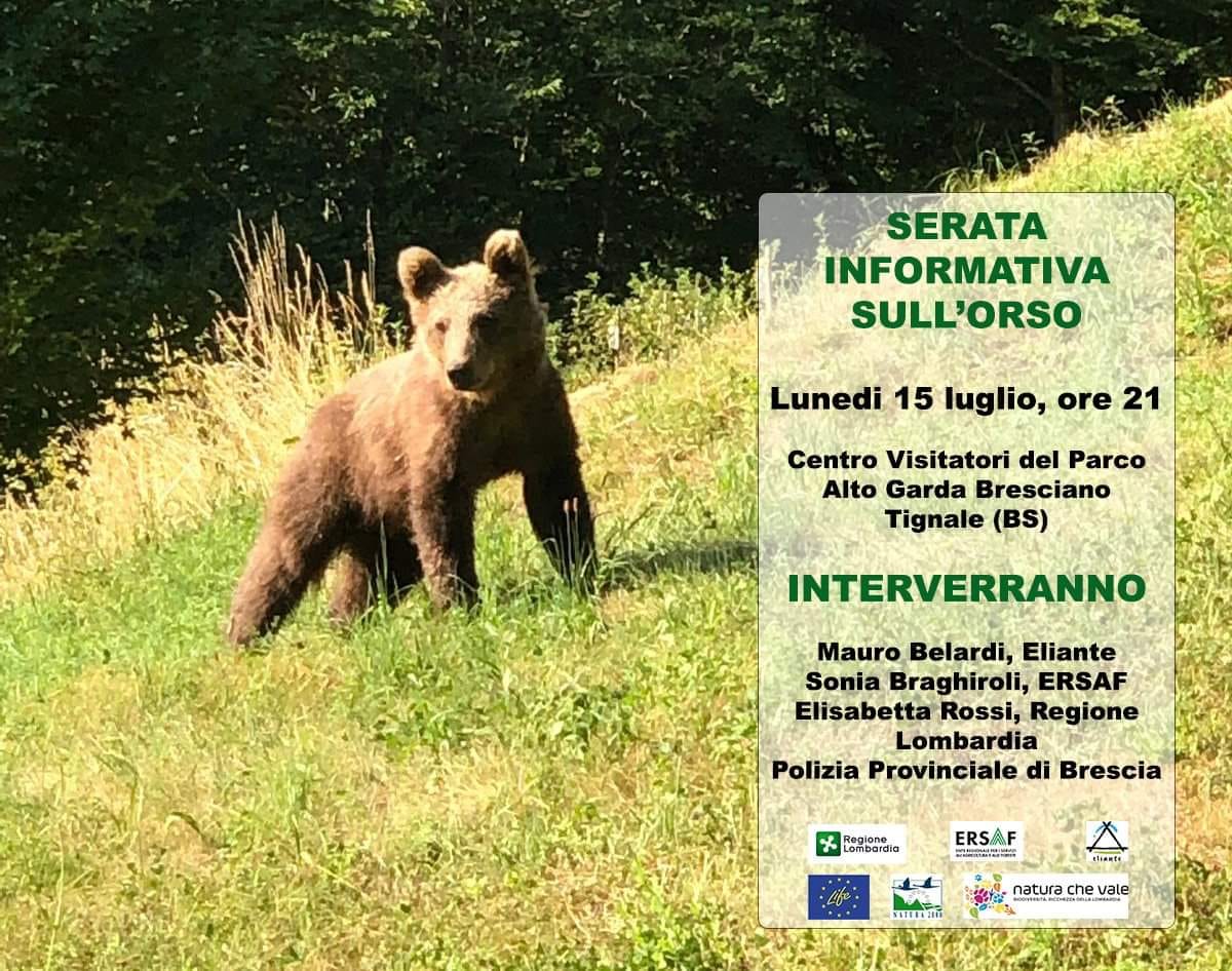 Serata informativa sull’orso – Tignale (BS)