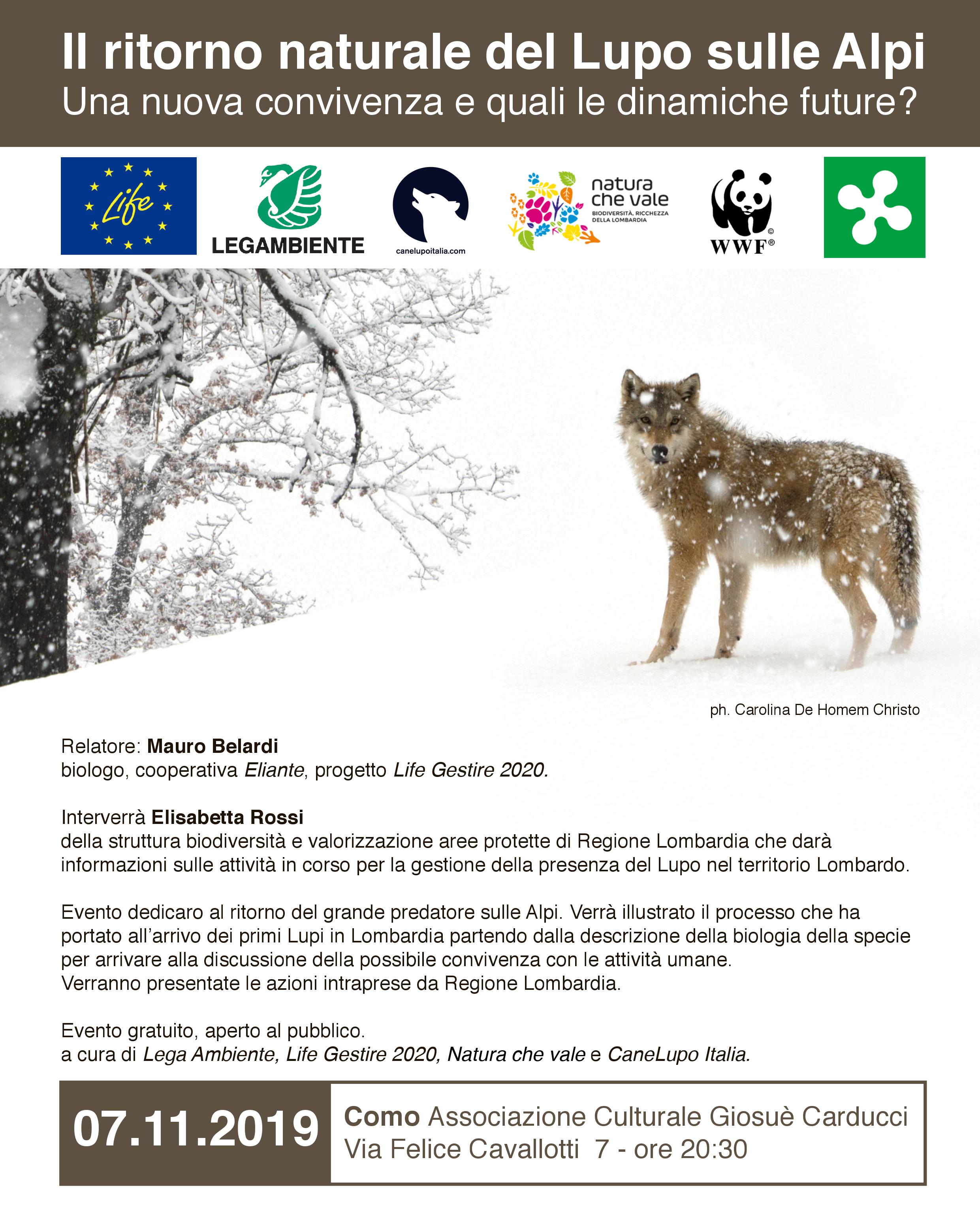 Il ritorno naturale del Lupo sulle Alpi – Como