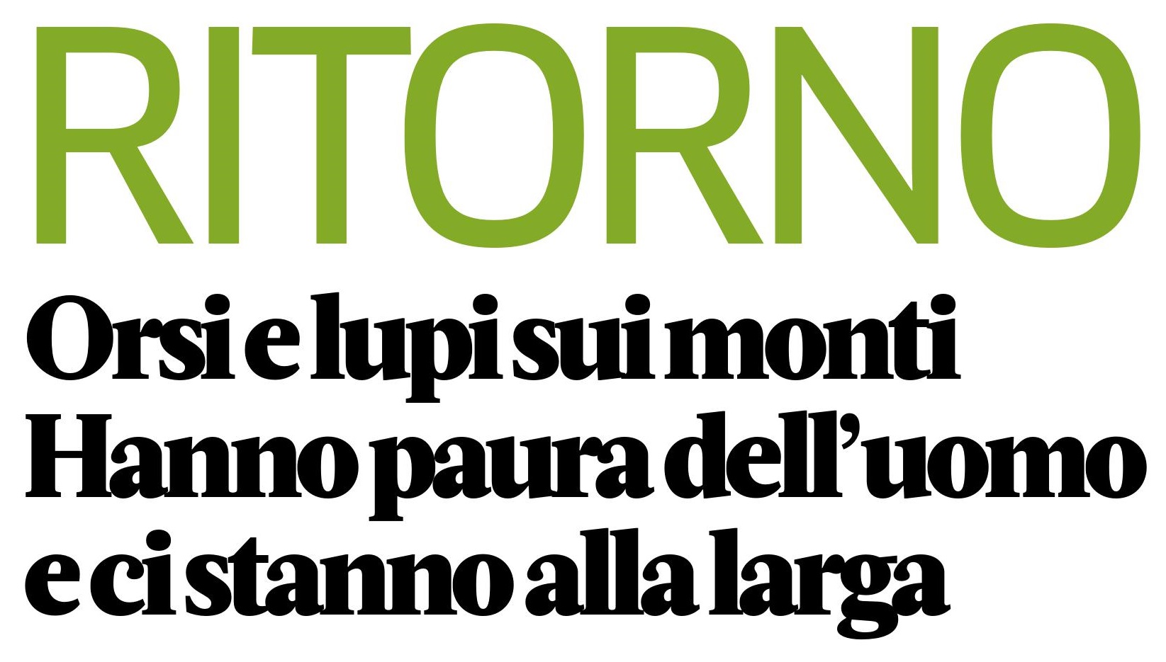 08/12/2019 Ritorno. Orsi e lupi sui monti. Hanno paura dell’uomo e ci stanno alla larga