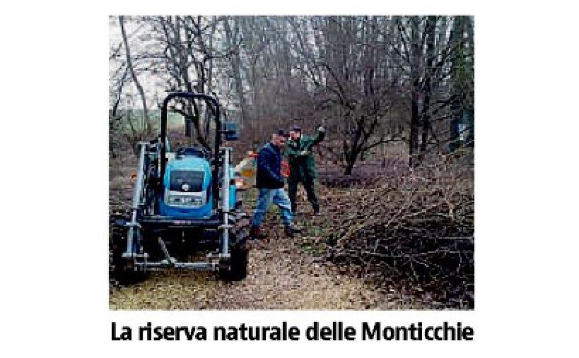27/01/2020 Quindicimila euro per tutelare anfibi e rettili nella riserva