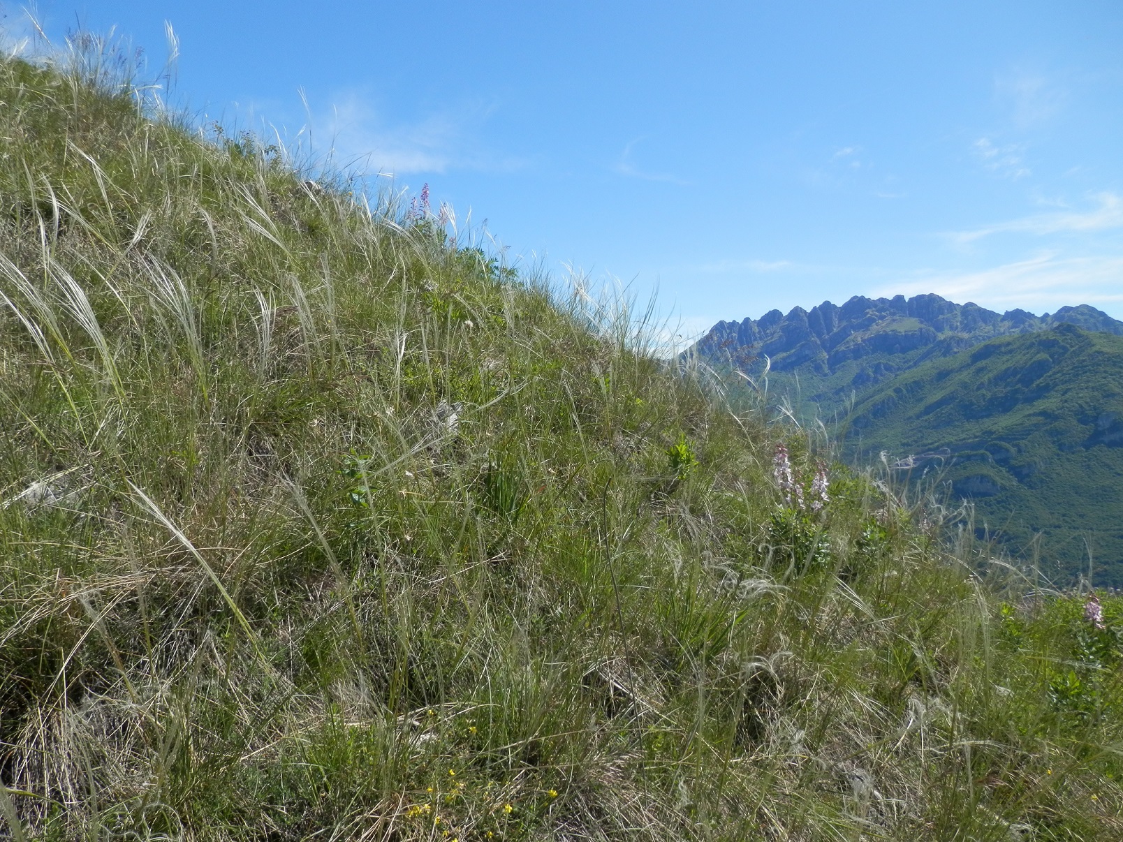 Life Gestire 2020: attivato nuovo servizio di facilitazione e progettazione per la biodiversità in Lombardia