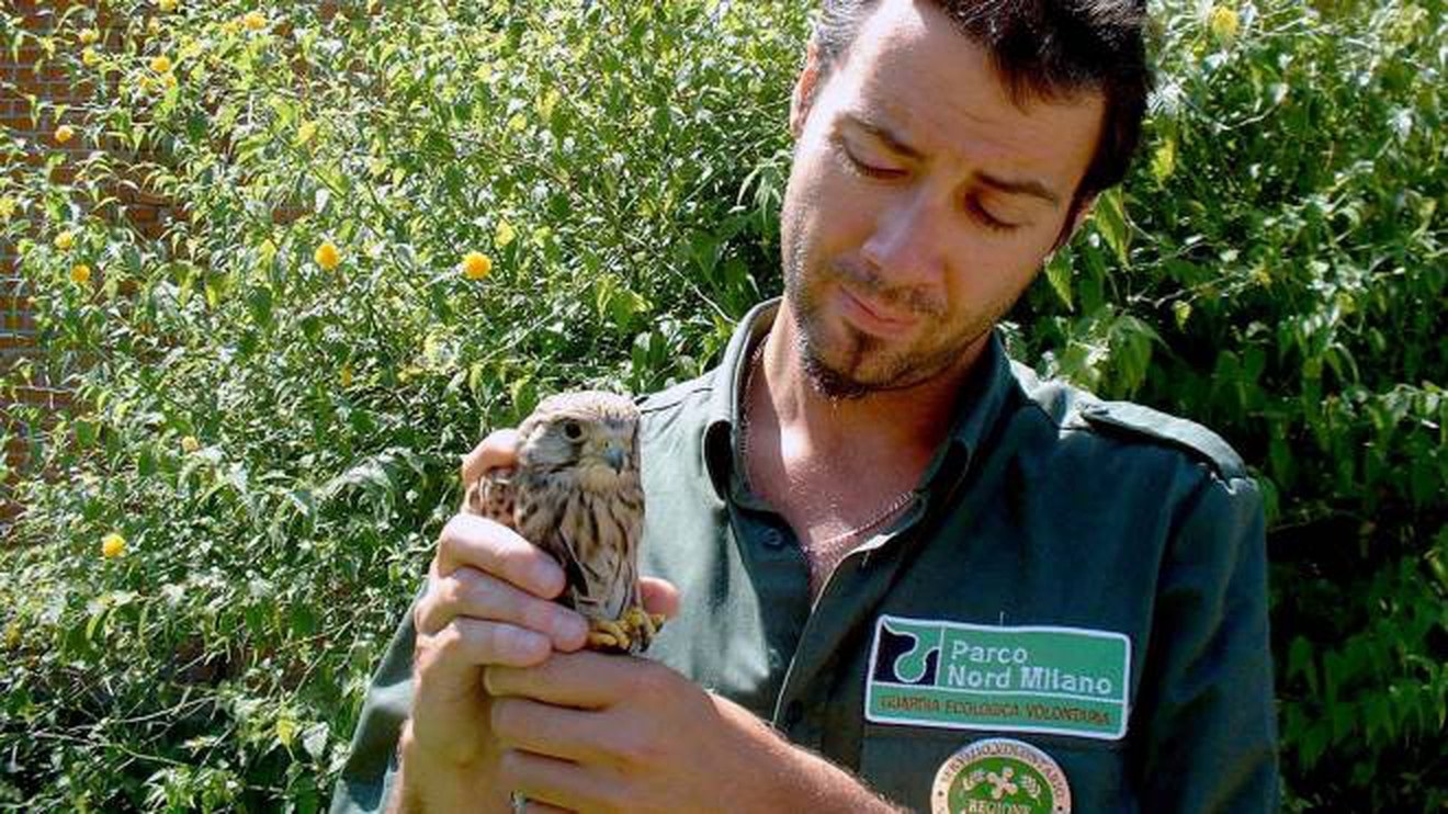 La tutela della biodiversità tra i nuovi compiti delle GEV lombarde: modificata legge regionale