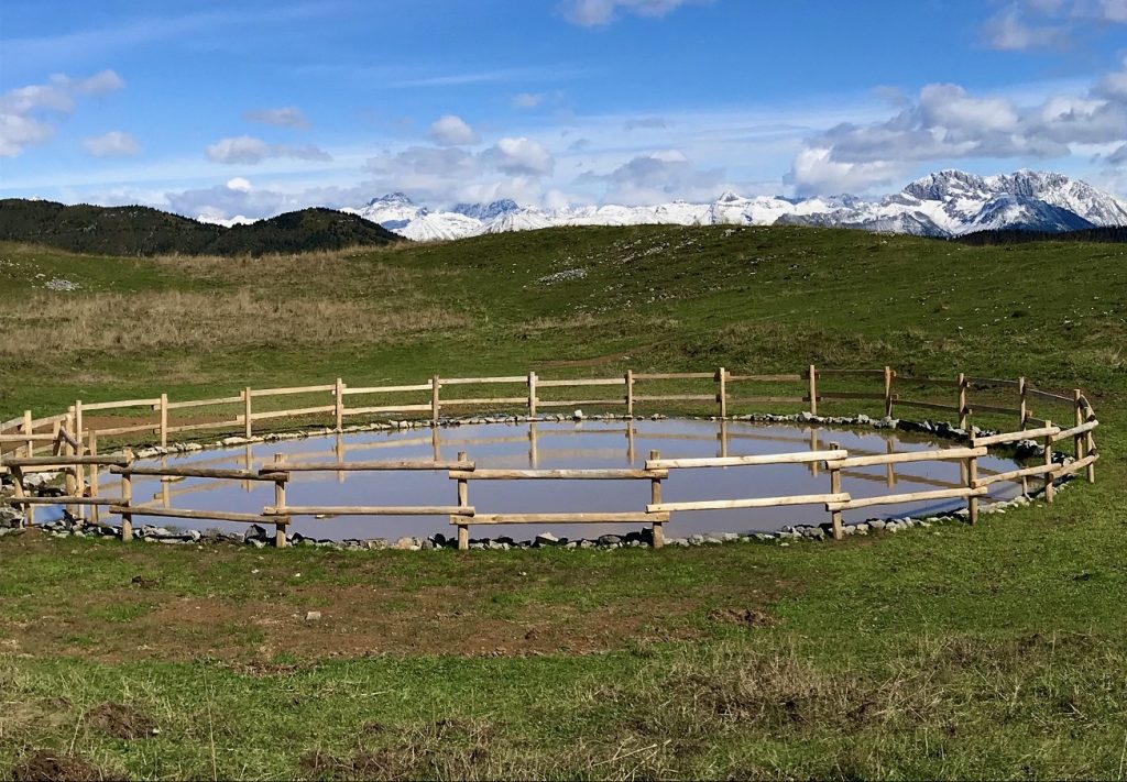 Inaugurate due nuove pozze di abbeverata in Valseriana. Benefici per l’attività pascoliva e per la tutela della biodiversità