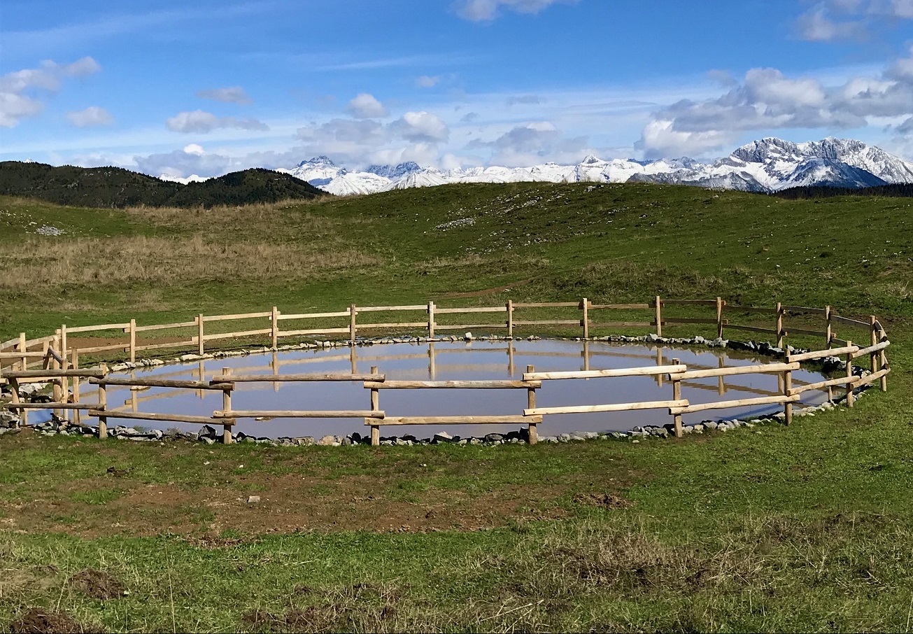 Inaugurate due nuove pozze di abbeverata in Valseriana. Benefici per l’attività pascoliva e per la tutela della biodiversità