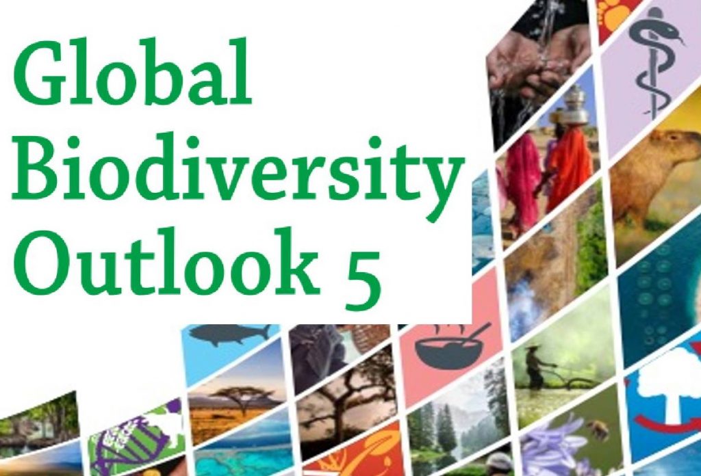 Pubblicato il nuovo rapporto sulle prospettive globali della biodiversità