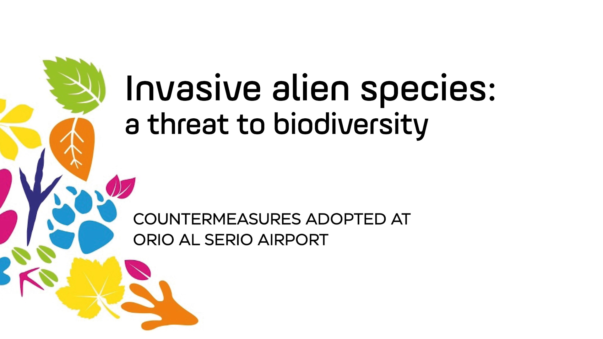 Invasive alien species: countermeasures adopted at Orio al Serio Airport– video