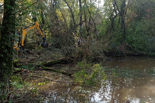 02/11/2020 Parco Adda Nord: gli interventi di sistemazione e ripristino degli habitat