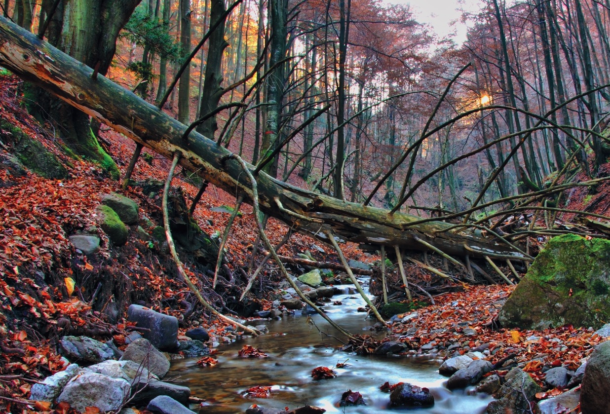 New EU state of nature report