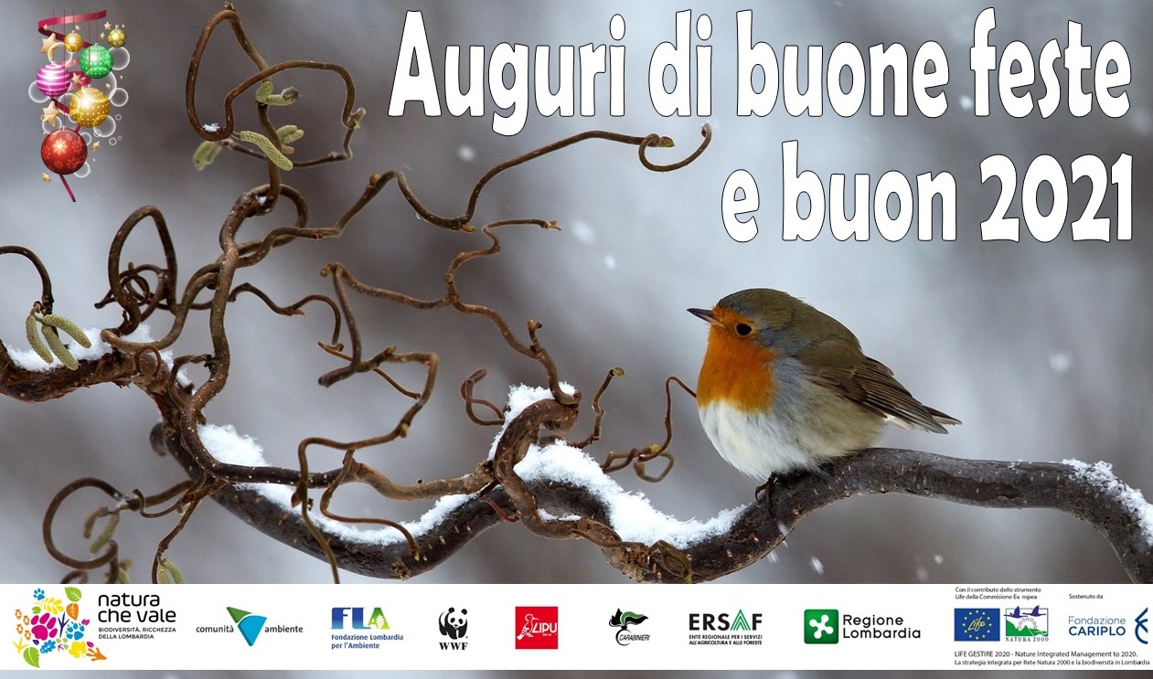 Buone feste e buon 2021
