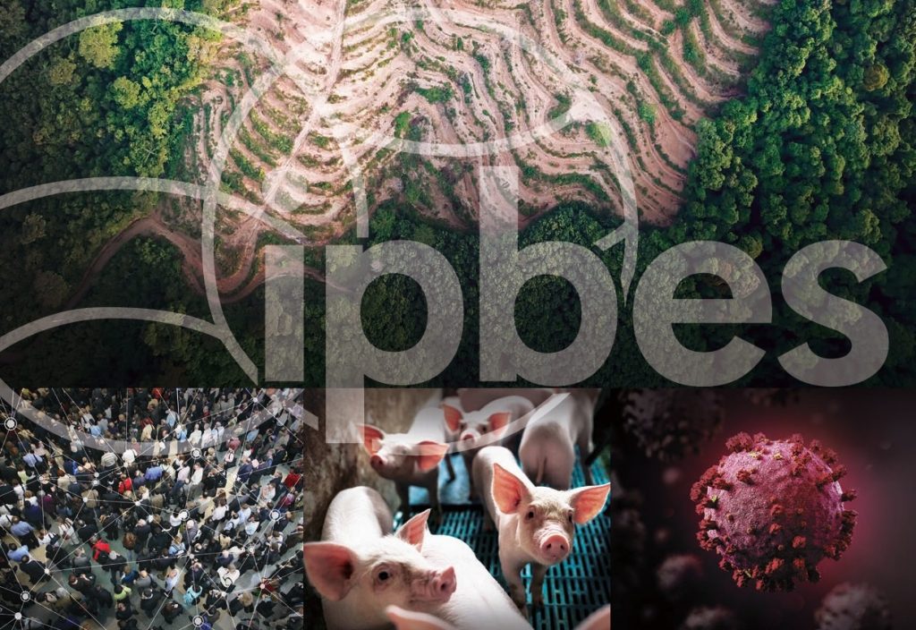 Biodiversità e pandemia: pubblicato rapporto Ipbes