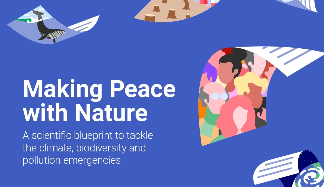 Making Peace with Nature
